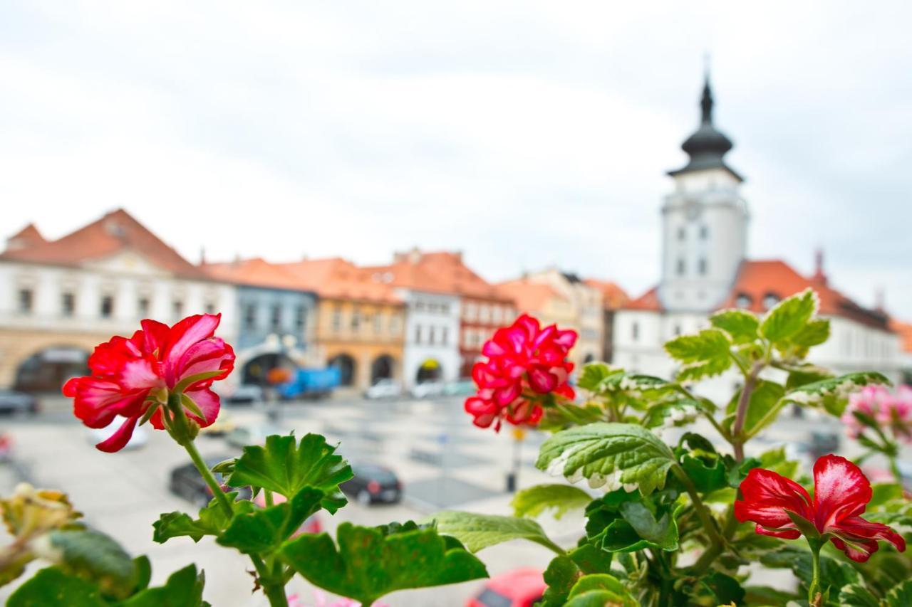 Hotel U Hada Zatec Екстер'єр фото